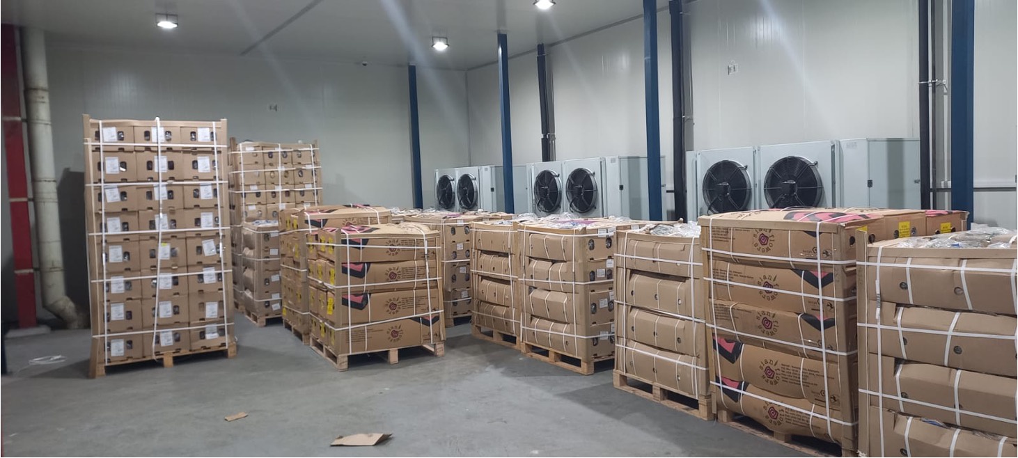 AI Predictive Models